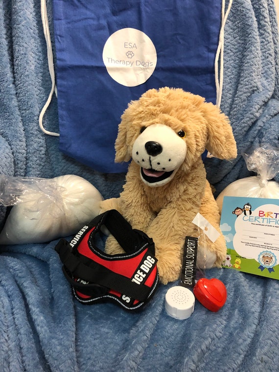 emotional support dog accessories