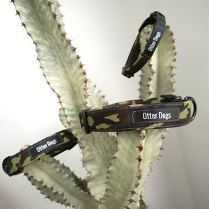 Dog collar, green camouflage print, organic cotton, GOTS certified organic, camo print