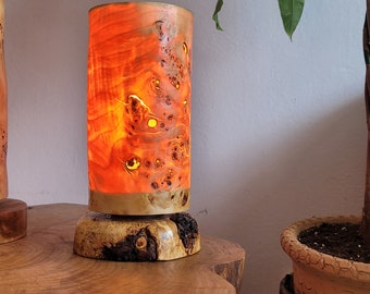 Table night lamp - Venner lamp -Unique night light - Natural lighting - bedroom lamp - sexi lamp - Wood lamp - boho decoration