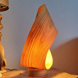 Wood table lamp veneer Mobius lamp