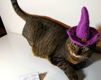 Cat witch hat
