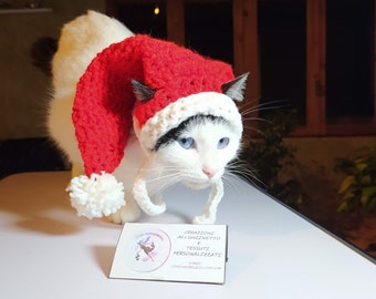 Weihnachtsmütze für Katze