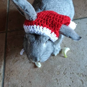Christmas Hat for Rabbit