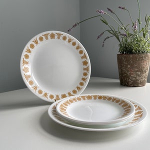 May include: A collection of white ceramic plates featuring a gold floral design around the edge. The plates are arranged on a white surface, with a larger plate standing behind. A small potted plant is visible in the background.