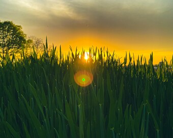 Pennsylvania Spring Sunset Photo Download