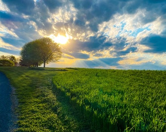 Pennsylvania Spring Sunset Photo Download