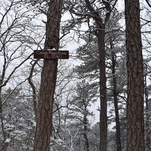 Peut inclure: Un panneau en bois dans une forêt enneigée indique "Center Point Knob EL. 1060". Le panneau est fixé à un grand pin avec de la neige sur les branches.