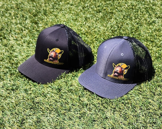 Mesh Back Hat