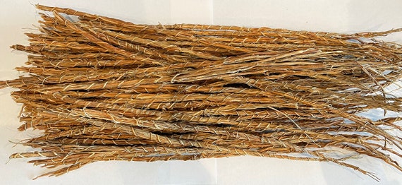 Gongolili - Stems - Vetiver Root - Khamare - Rene - Sepa Root Organic from  West Africa -gongoli stems