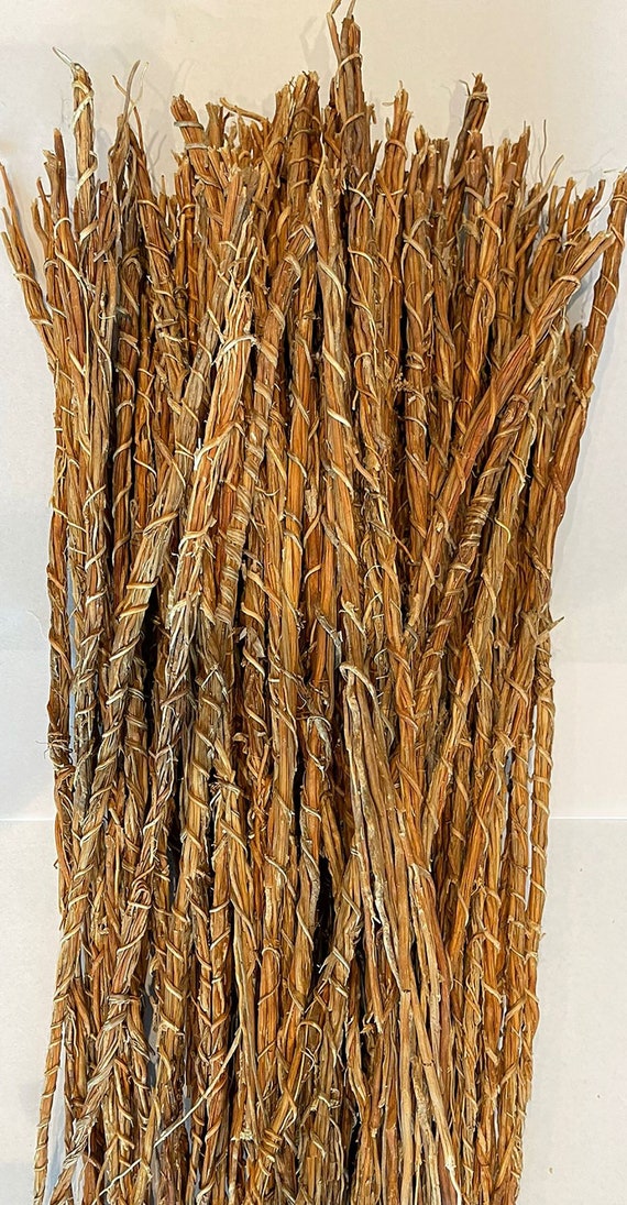 Vetiver Root – Khamare – Gongoli (50 g) – 10 Stems of Vetiver for