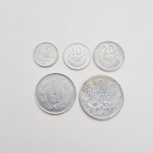 Set di monete polacche - Zloty polacco - set di 5 monete vintage emesse in Polonia negli anni ’80