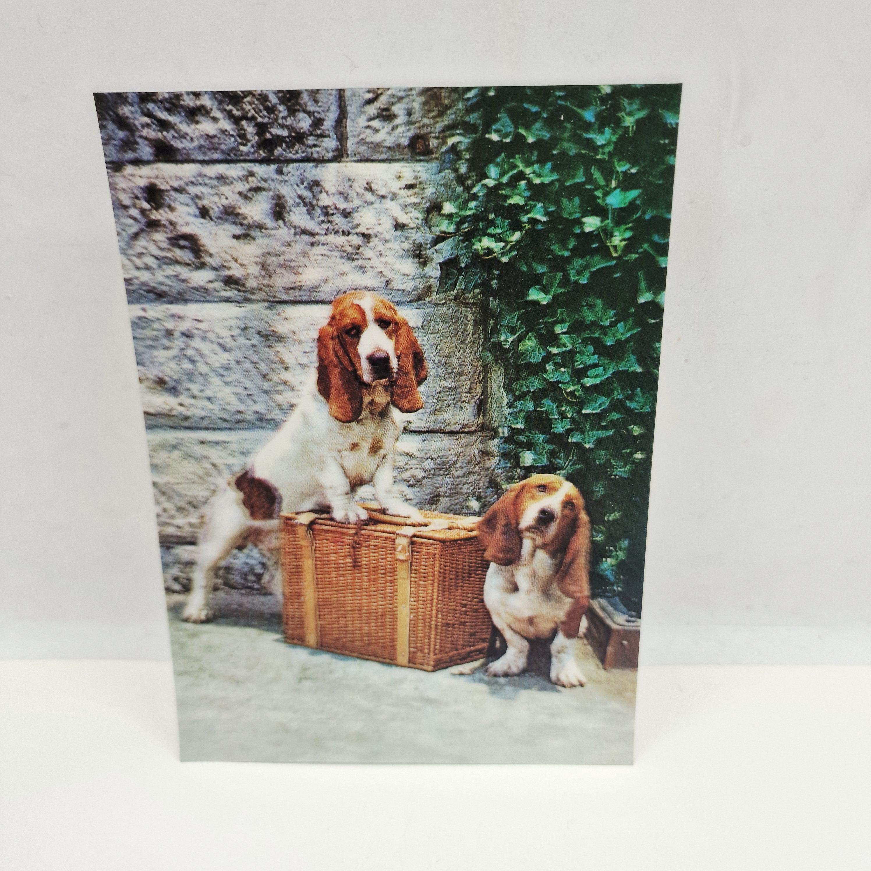 70s basset hound - Etsy 日本