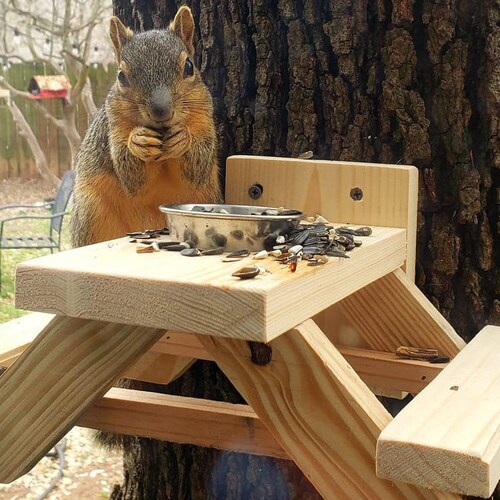 Squirrel Picnic Table Feeder Etsy