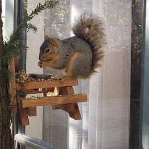 Handgemachter Eichhörnchen Picknicktisch - Picknicktisch für Eichhörnchen - Zaun Picknicktisch für Eichhörnchen - Eichhörnchen Futtertisch