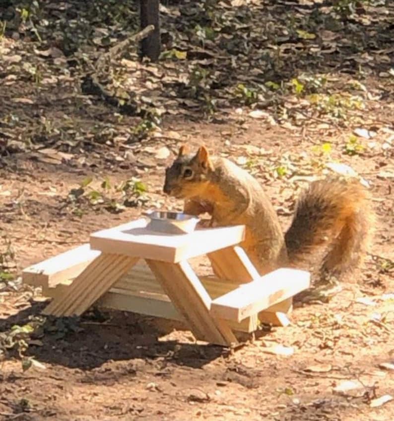 Handmade Squirrel Picnic Table Squirrel Feeder Picnic Table Etsy