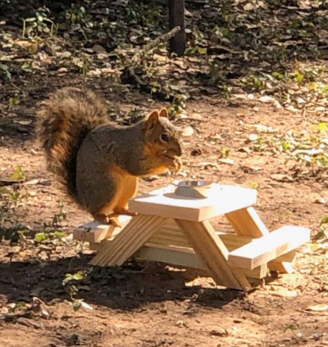 Handmade Squirrel Picnic Table Squirrel Feeder Picnic Table Etsy