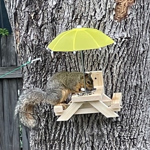 Umbrella Squirrel Picnic Table - Squirrel Feeder Umbrella - Picnic Table Squirrel Umbrella, Fence Picnic Table for Squirrels,  Squirrel Gift