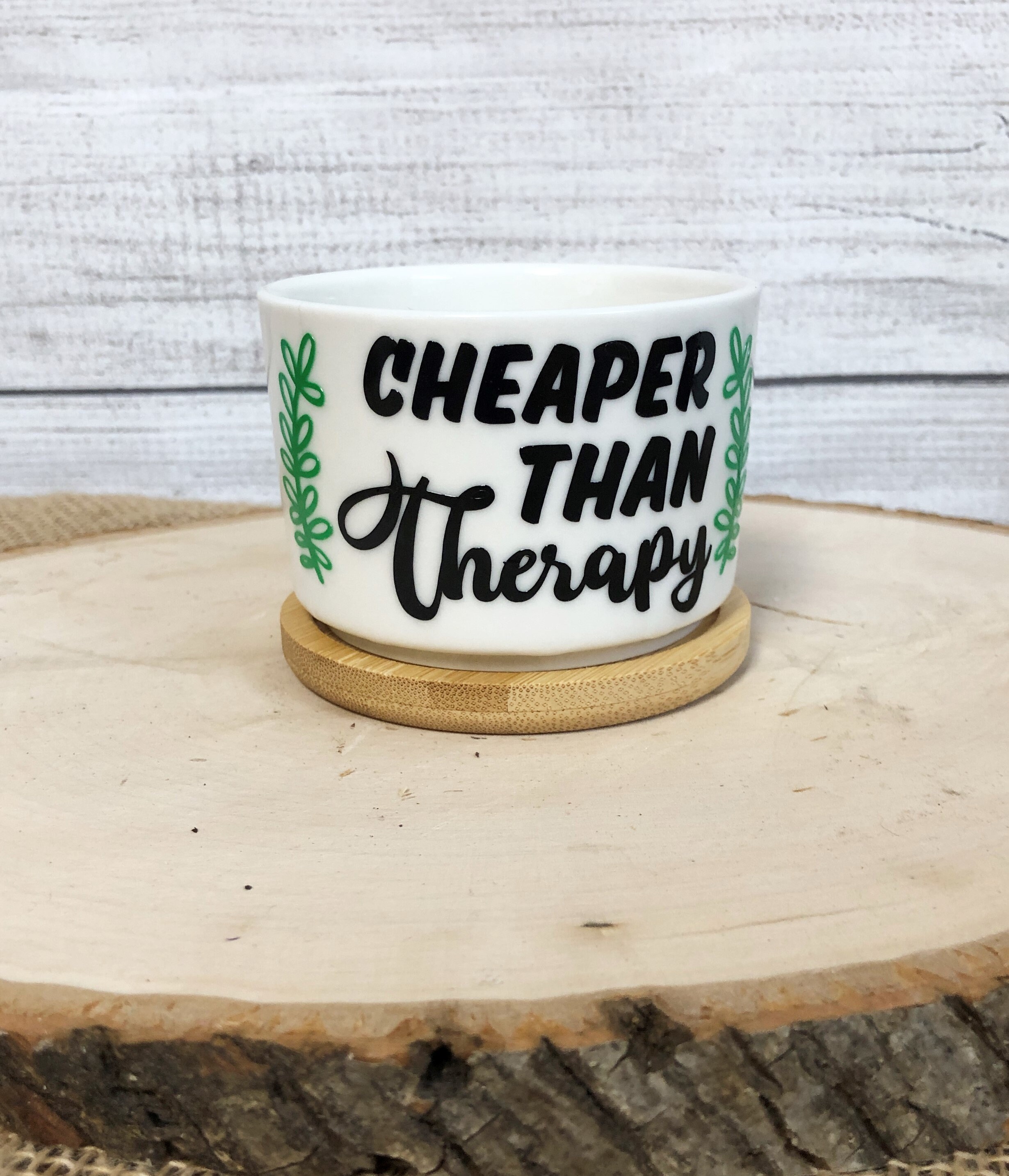 Funny Succulent Pots for Succulents or Plant Starts With Bamboo ...