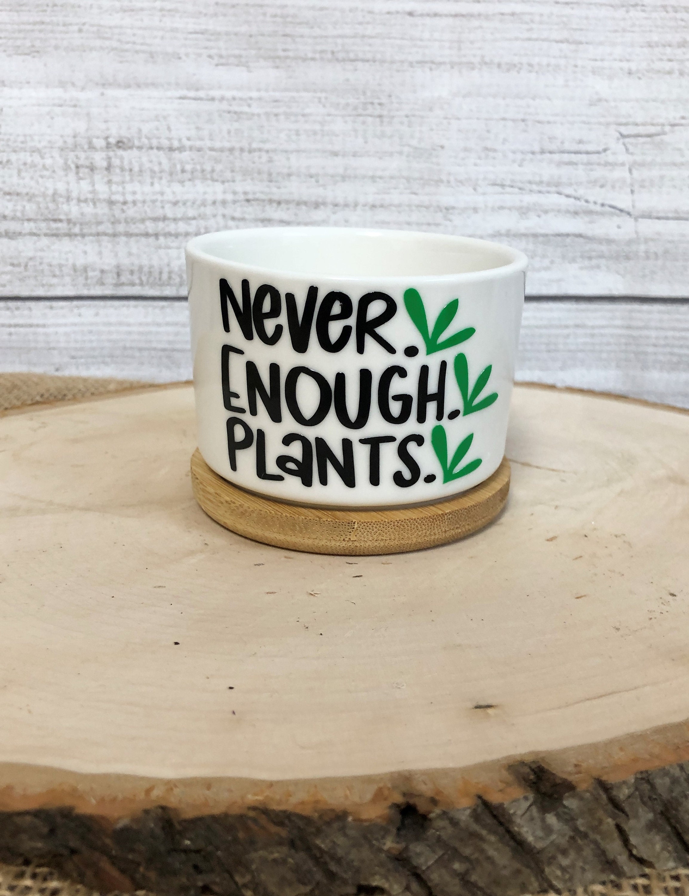 Funny Succulent Pots for Succulents or Plant Starts With Bamboo ...