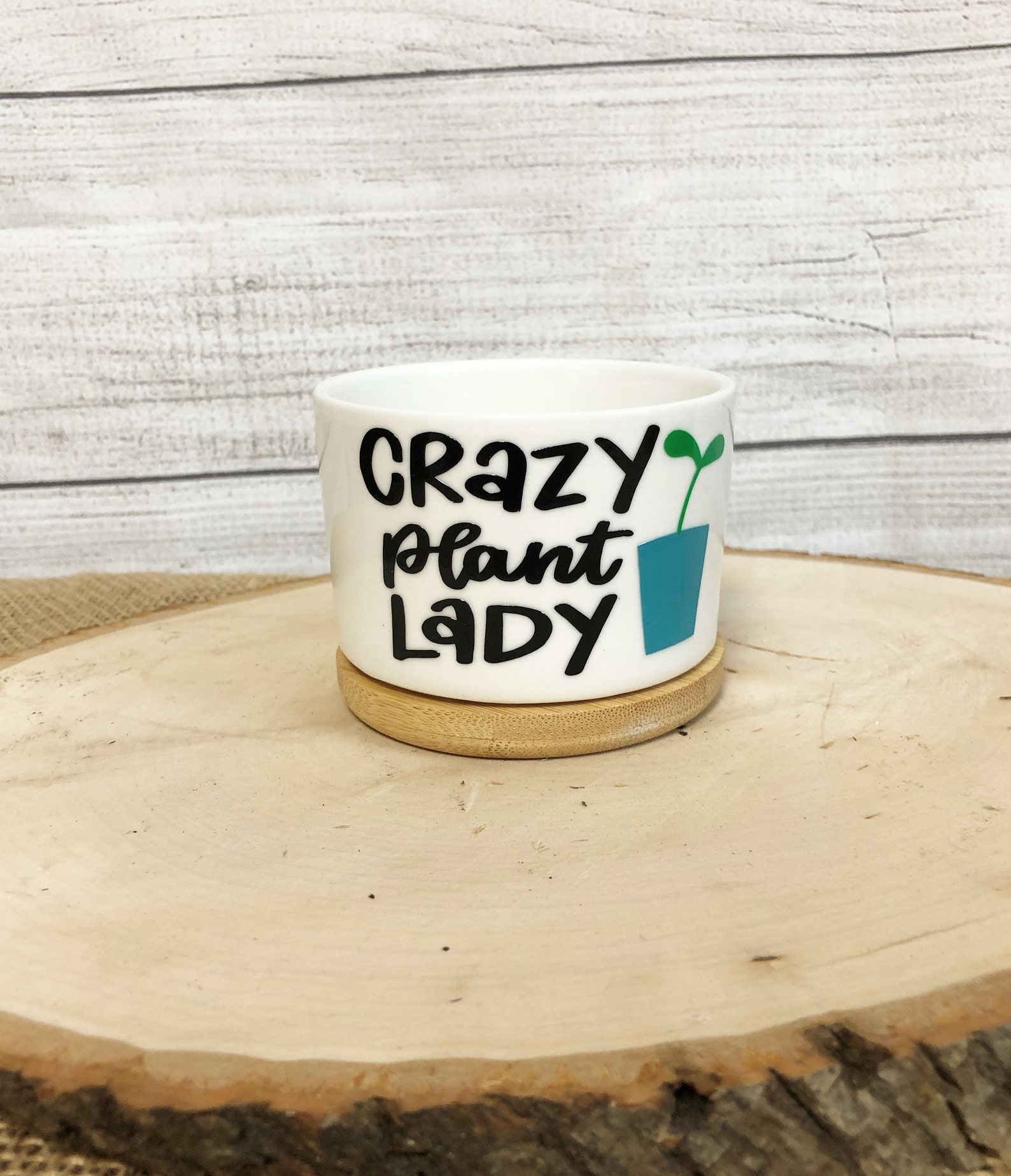 Funny Succulent Pots for Succulents or Plant Starts With Bamboo ...