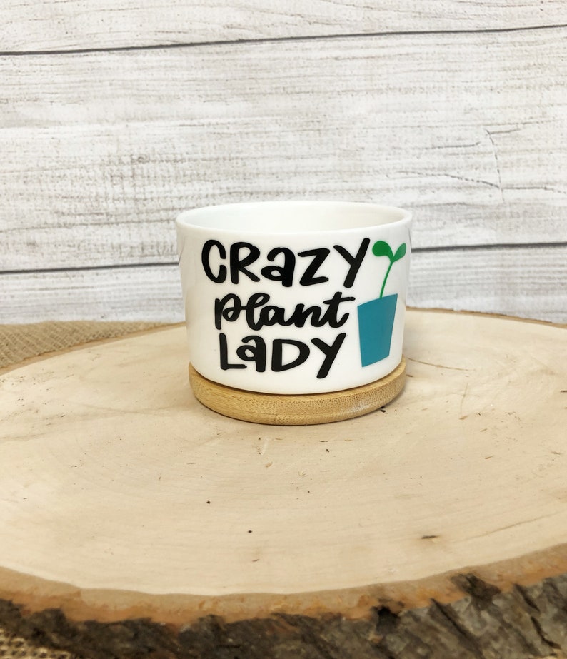 Funny Succulent Pots for Succulents or Plant Starts With Bamboo ...