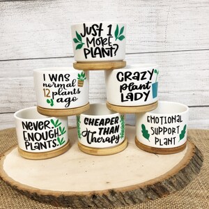 Funny Succulent Pots for Succulents or Plant Starts With Bamboo ...