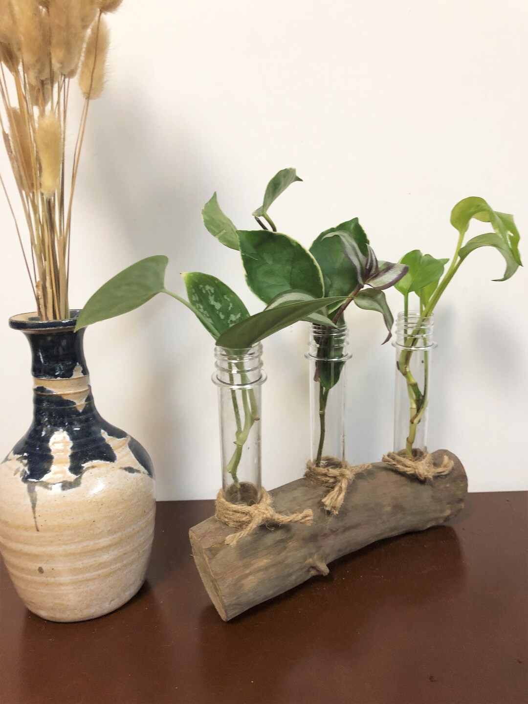 Driftwood Tabletop Propagation Station Rustic Natural Home Etsy