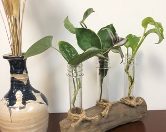 Driftwood Tabletop Propagation Station - Rustic Natural Home Decor for plants