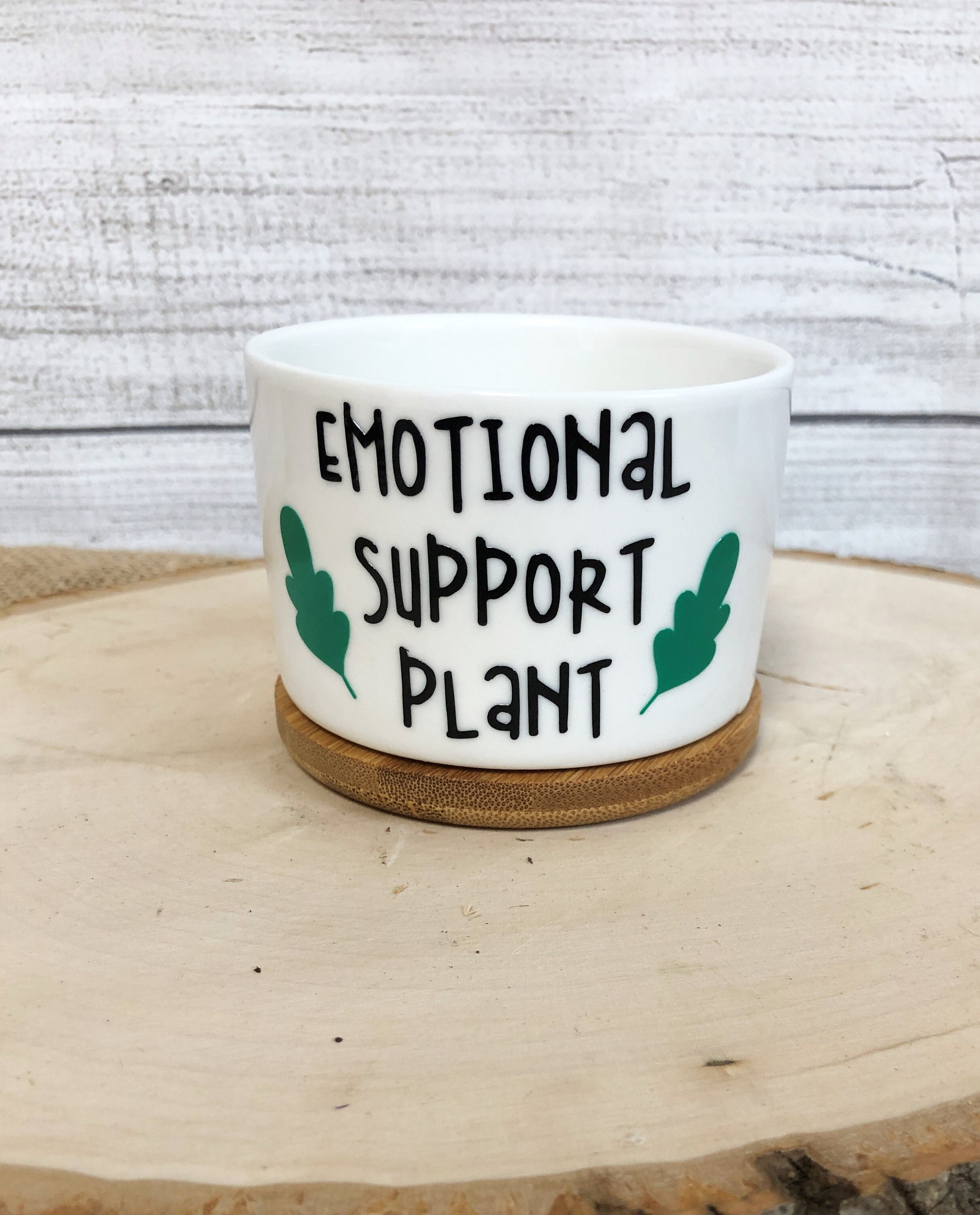 Funny Succulent Pots for Succulents or Plant Starts With Bamboo ...