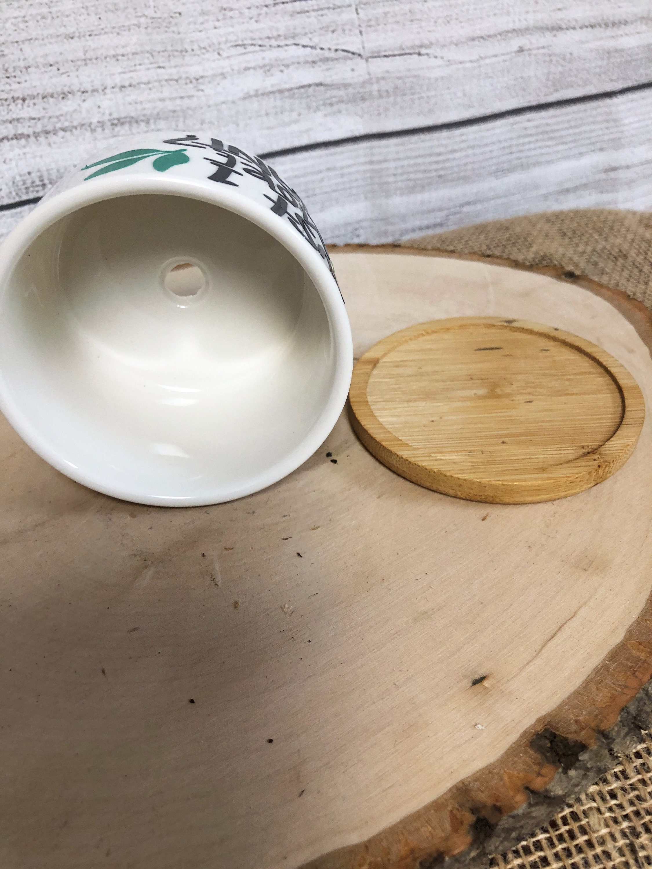 Funny Succulent Pots for Succulents or Plant Starts With Bamboo ...