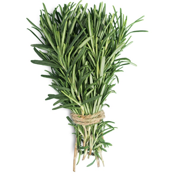 Fresh Organic Rosemary - Herb