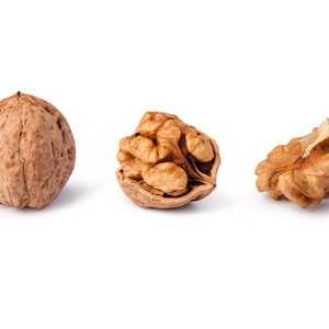 Gourmet Shelled Walnuts - In Shell