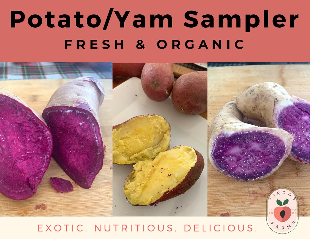 Fresh Potato/yam Trio/ Hawaiian Yam / Purple Yam / Japanese Yam / Free Shipping Etsy