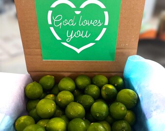 Organic Fresh Key Lime / the Real Fruit / Free & Fast Shipping - Etsy