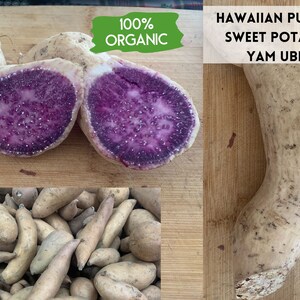 Peut inclure: Une patate douce violette coup&eacute;e en deux, r&eacute;v&eacute;lant sa chair violette vibrante. La patate est &eacute;tiquet&eacute;e "100% Bio" et "Patate douce violette hawa&iuml;enne Yam Ube". Un tas de patates douces enti&egrave;res est visible en arri&egrave;re-plan.