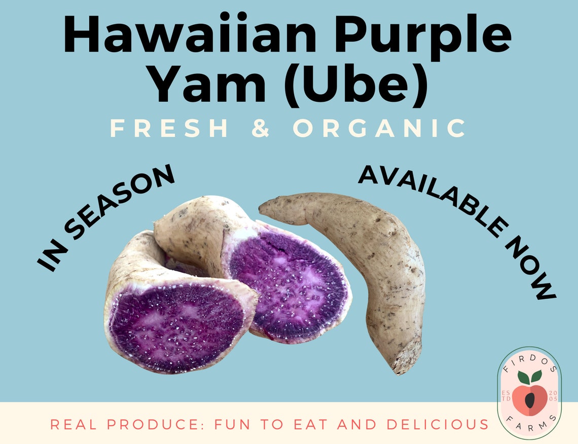 Fresh Hawaiian Purple Sweet Potatoes Ube Yam / FAST SHIPPING Etsy