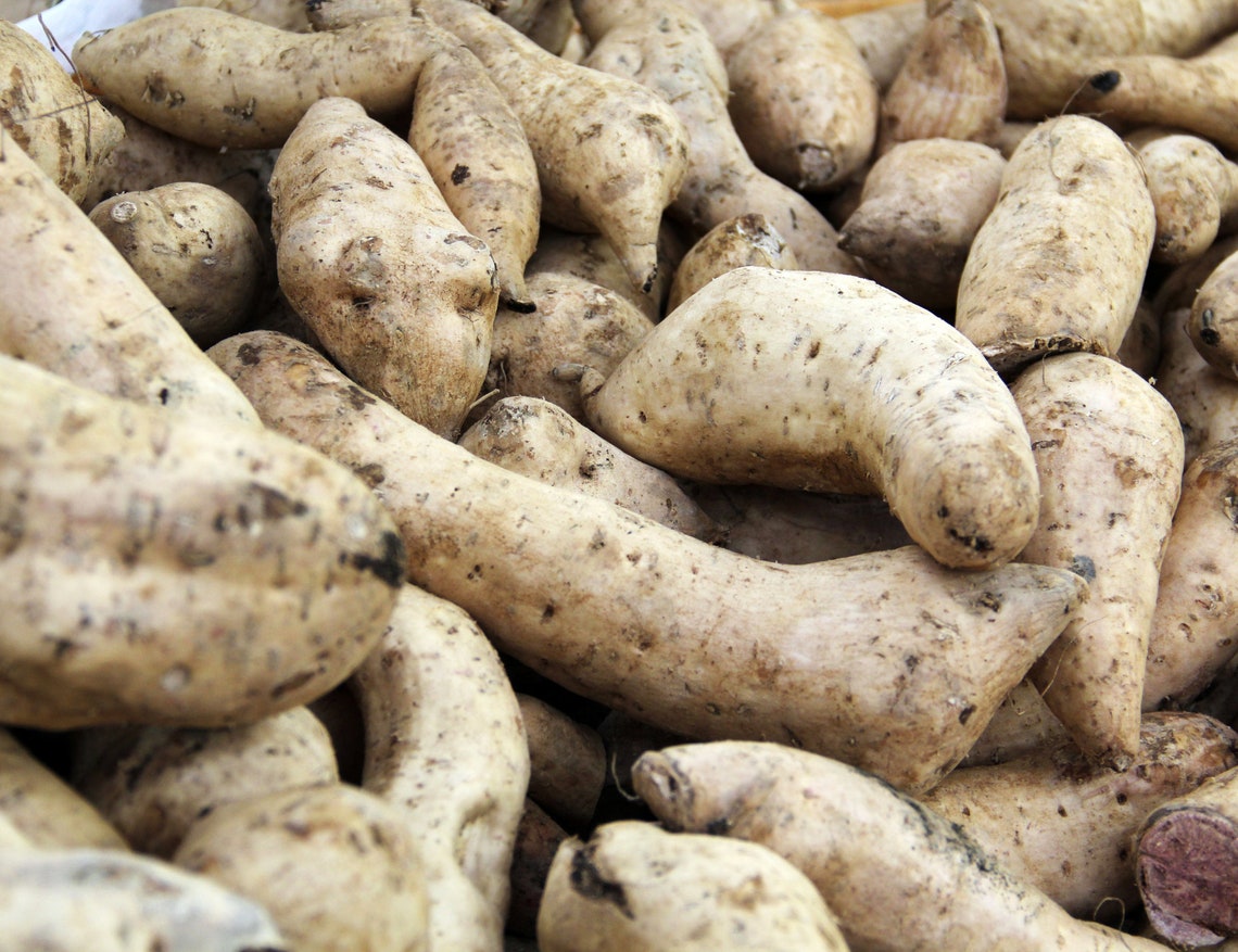 Fresh Hawaiian Purple Sweet Potatoes Ube Yam / FAST SHIPPING Etsy