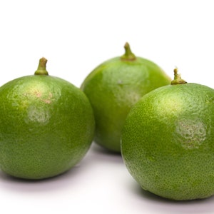 Organic Fresh Key Lime / The Real Fruit / Free & Fast Shipping image 1