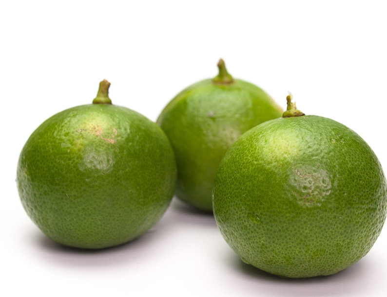 Organic Fresh Key Lime / The Real Fruit / Free & Fast Shipping image 1