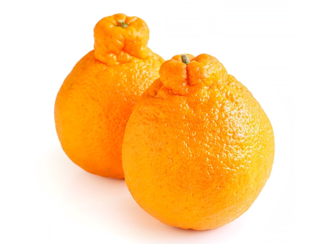 Tangerine Sumo Citrus / Real Fruit / Free Shipping / 3 Pounds Etsy