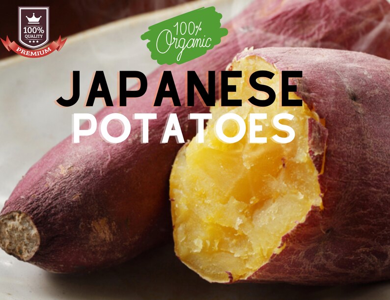 Japanese Sweet Potatoes / FAST SHIPPING Etsy