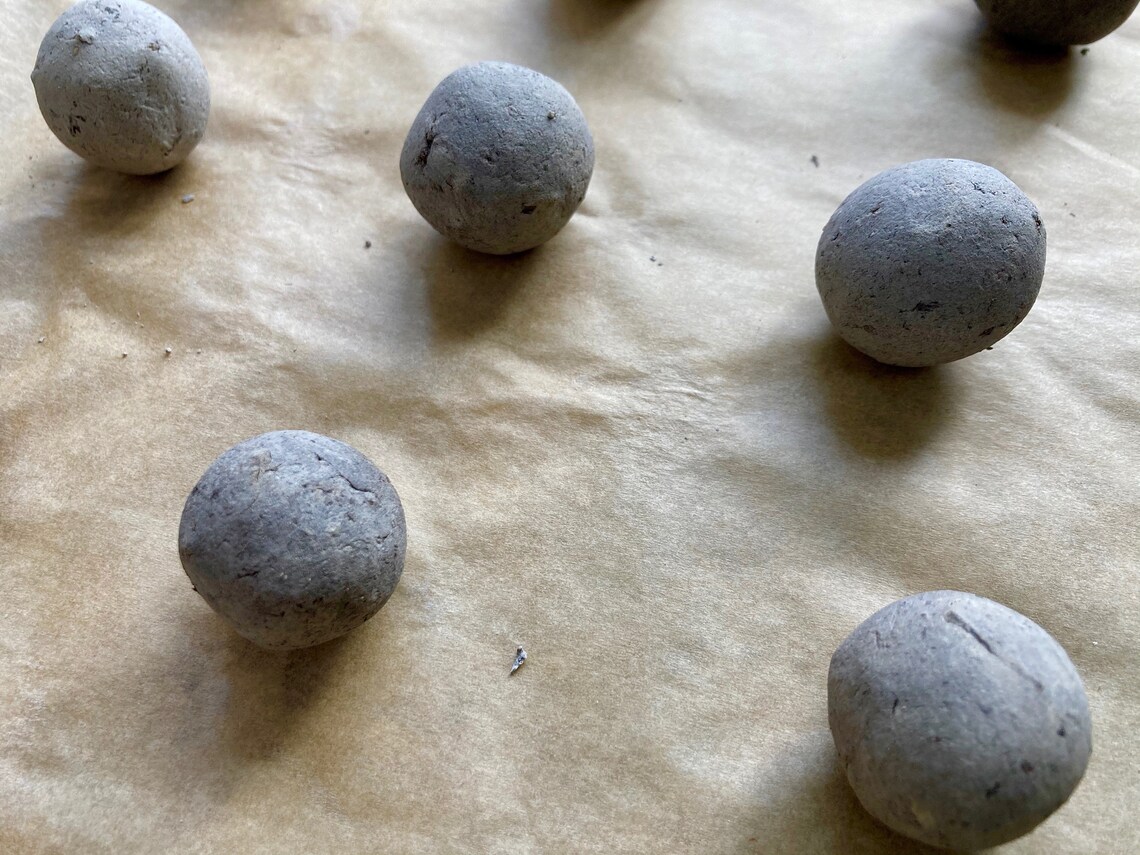 Wildflower Seed Ball Kit DIY Garden Starter Clay and Compost Etsy