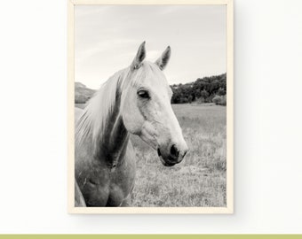 Black and White Horse Digital Print | Wall Art Decor | Bedroom Prints | Printable Digital Download | Instant Downloadable