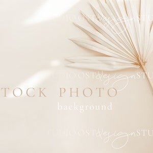 Boho stock photo background Esthétique stock photo Wedding stock photography Minimal stock photography Fleurs séchées photo d’arrière-plan