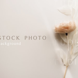 Stock photo background Minimal stock photography Wedding stock photography Aesthetic stock photo