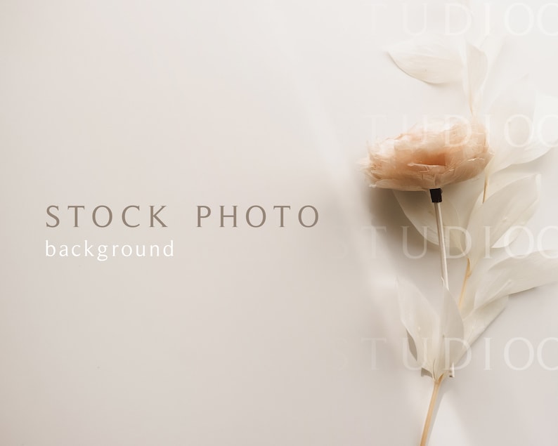 May include: A single, pale peach-colored flower with white stems and leaves on a white background. The text "STOCK PHOTO background" is printed below the flower.