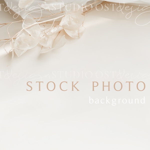 Aesthetic stock photo Wedding stock photography Stock photo background Minimal stock photography Dried flowers background photo