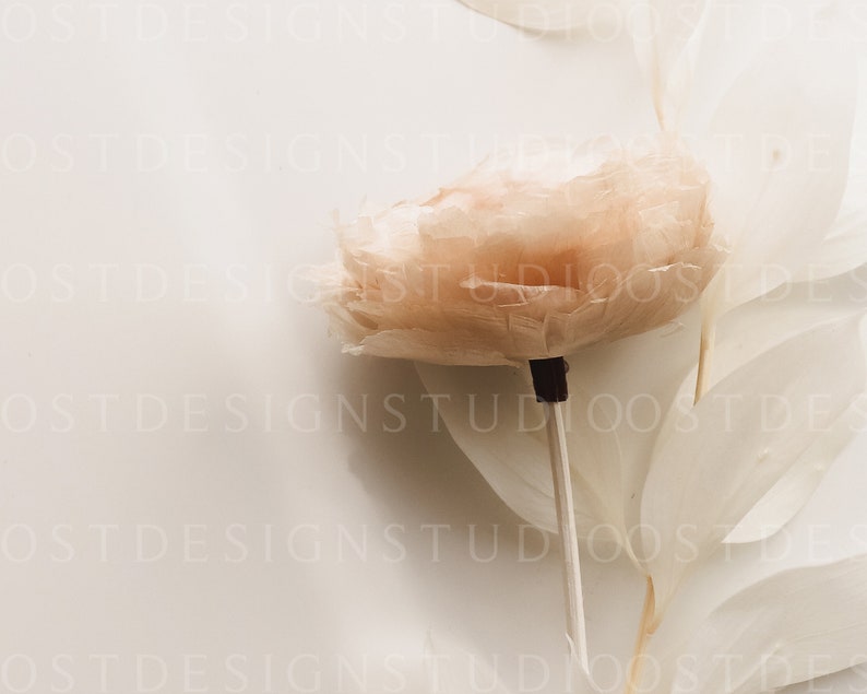 May include: A delicate peach-colored flower made of feathers, with a thin stem, on a white background.