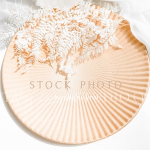 Stock photo background Boho stock photography Wedding stock photography Aesthetic stock photo Dried flowers background photo