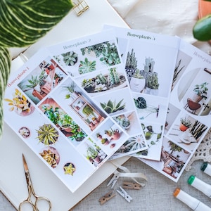 Adorables stickers suspendus verts succulentes en pot pour plantes d'intérieur - Idées cadeaux pour les amateurs de plantes
